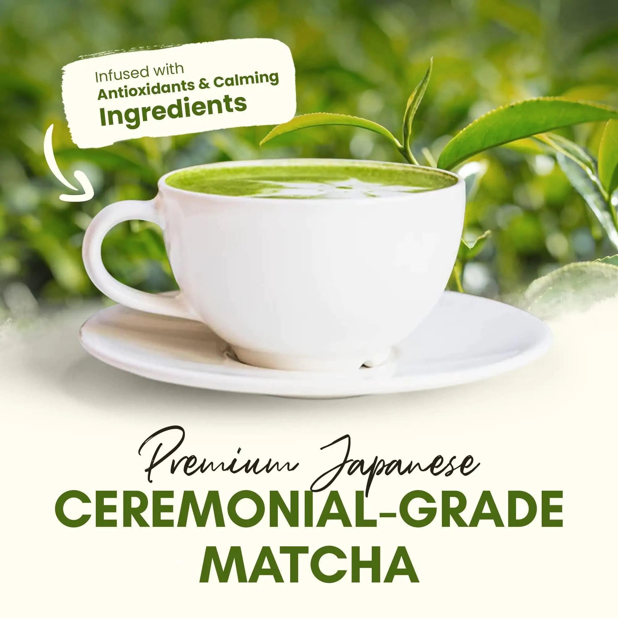 Organic Matcha Pure Japanese Tea Blend